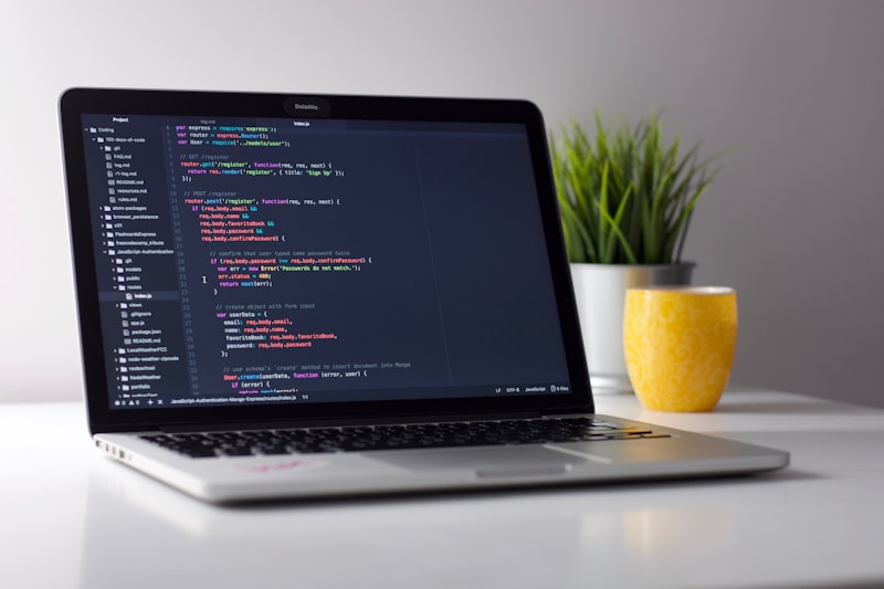 Custom software development